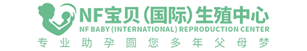 寻遇网